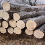 what does aspen wood look like?